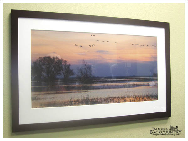 My pictures in display from Modesto
