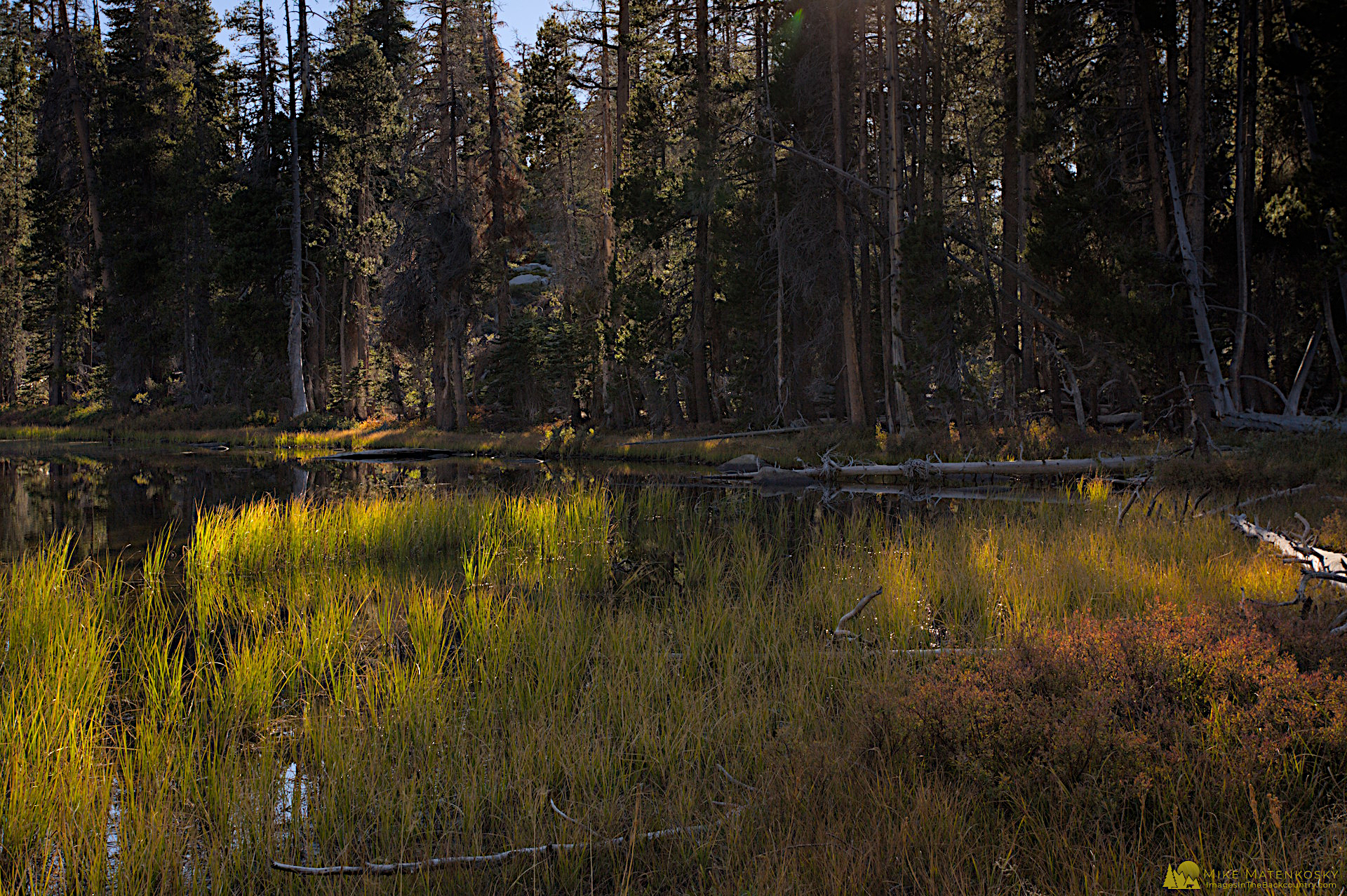 Yosemite October 2026